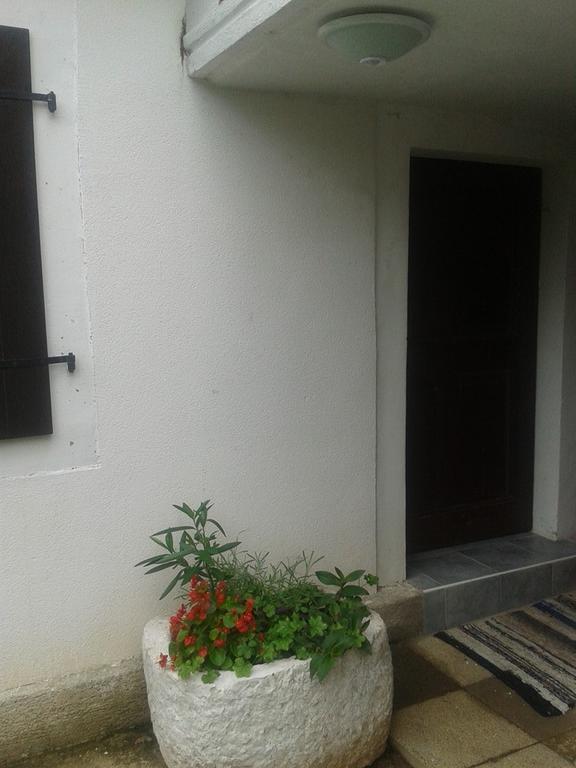 Apartment Kalikut Beli Δωμάτιο φωτογραφία