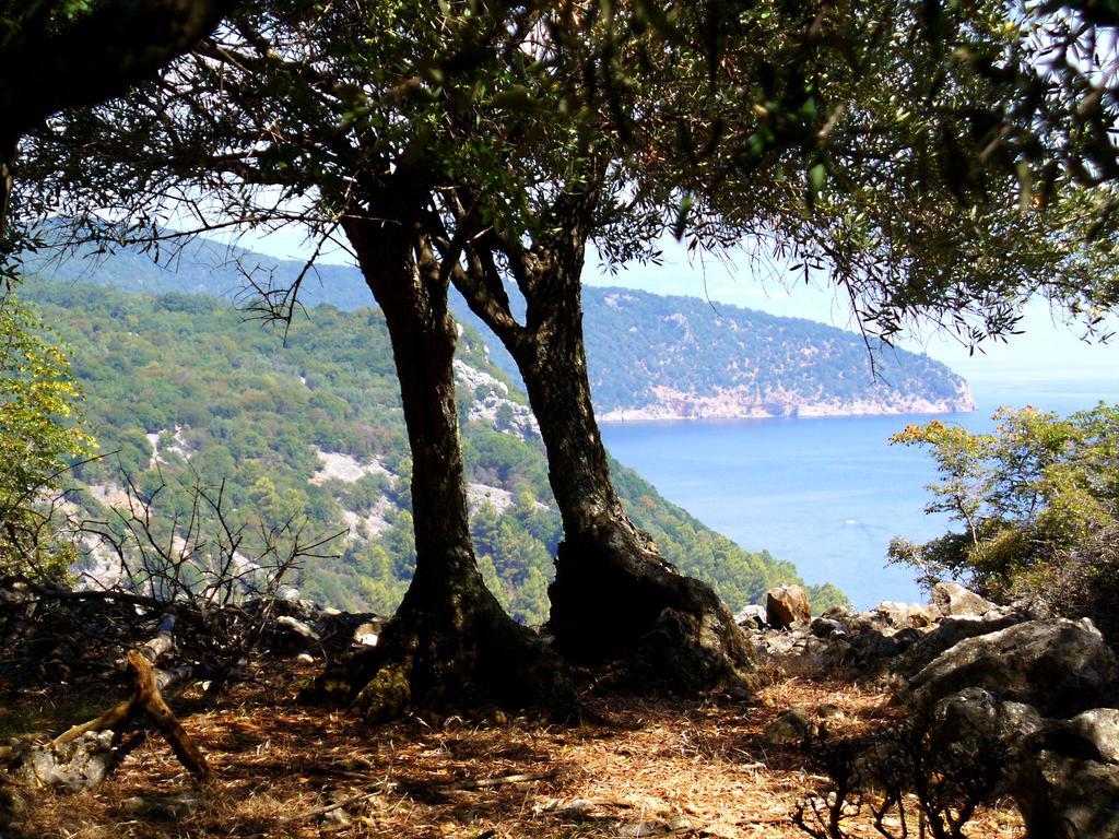 Apartment Kalikut Beli Δωμάτιο φωτογραφία